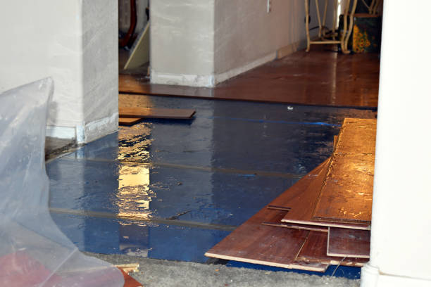 Professional Emergency Water Damage Restoration technician working in Belle, MO